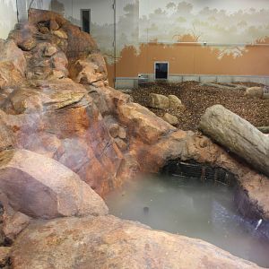 Giant otter indoor accomodation. 31-10-15