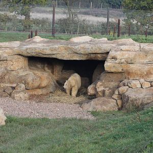 Nissan in his den 31-10-15