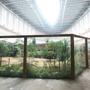 Indoor giant panda exhibit