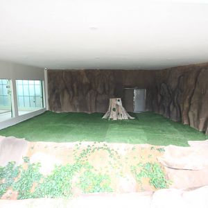 Outdoor giant panda exhibit