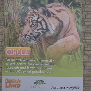 Signage re Circle, 28th April 2015