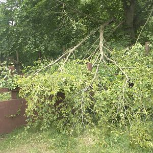 You build a nice extension, and then..., 19th July 2015