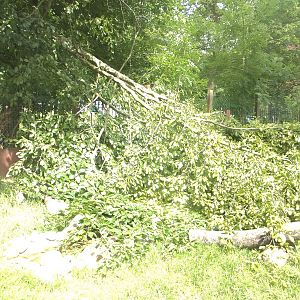 You build a nice extension, and then..., 19th July 2015