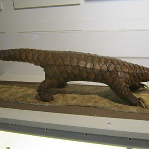 Portsmouth Natural History Museum 2015