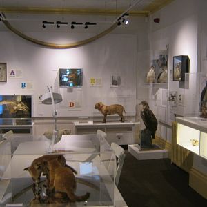 Portsmouth Natural History Museum 2015