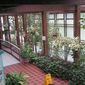 Portsmouth Natural History Museum