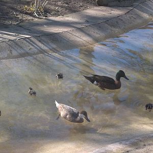 Unconventional family, 21st April 2015