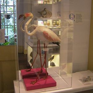 Portsmouth Natural History Museum 2015