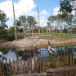 Orang-utan outdoor enclosure