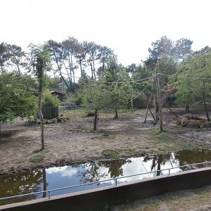 Tapir enclosure