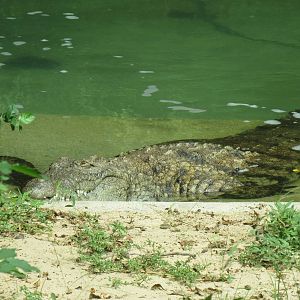 Come on in, the water is fine.