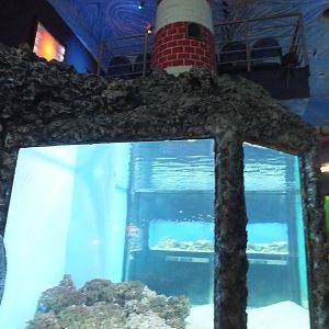Large Tank with surrounding theming