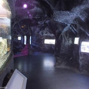 View in the Upstairs Area