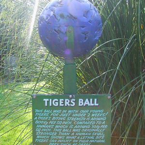 Tiger ball