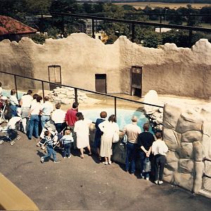 Polar Bear enclosure at Chessington Zoo, 23 August 1987