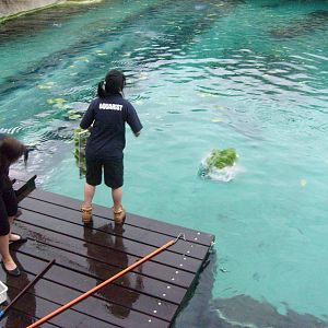 Sydney Aquarium 13/02/09