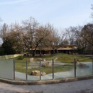 The new tapir exhibit