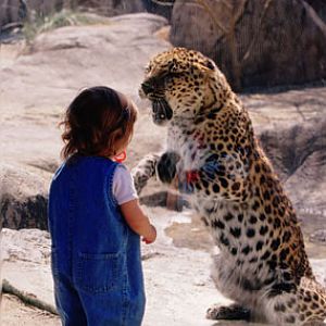 girl and leopard, The Living Desert