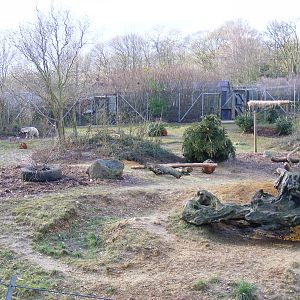 Striped Hyena / Spotted Hyena enclosure at Colchester Zoo, 13 February 2009