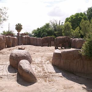 elephant exhibit