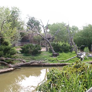 siamang island (mixed with malayan tapir)