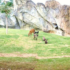 "Bai" panoramic view