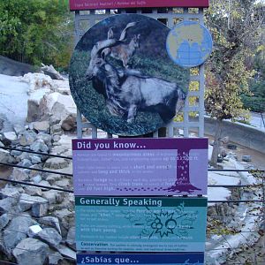 Tadjik Markhor exhibit sign
