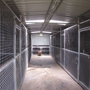 Feb 2009 - Lion House