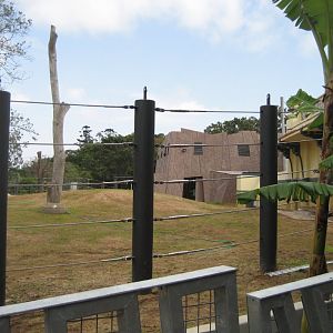 Elephant exhibit redevelopment