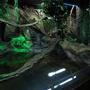Water-rat Enclosure (Nocturama)