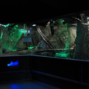 Water-rat Enclosure (Nocturama)