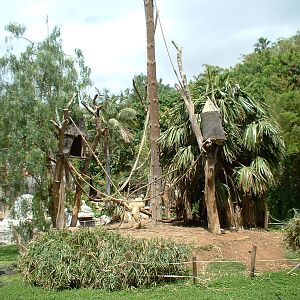 Gibbon enclosure at Aguilas Jungle Park in Tenerife, 19 May 2004
