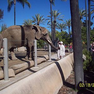 San Diego Zoo