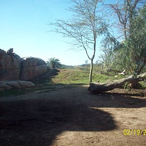 San Diego Zoo's Wild Animal Park