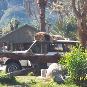 San Diego Zoo's Wild Animal Park