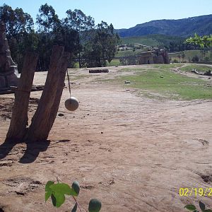 San Diego Zoo's Wild Animal Park