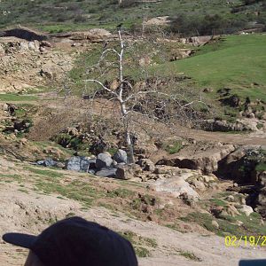 San Diego Zoo's Wild Animal Park