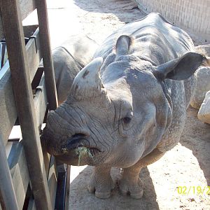 San Diego Zoo's Wild Animal Park