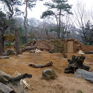 Merkat Exhibit detail