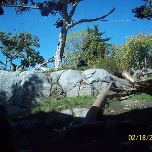 San Diego Zoo