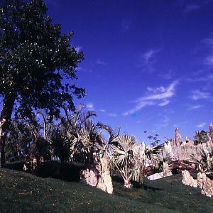 Madagascar general view