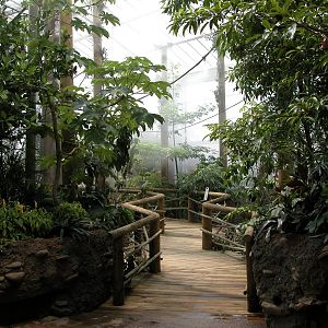 Amazonia exhibit August 2008