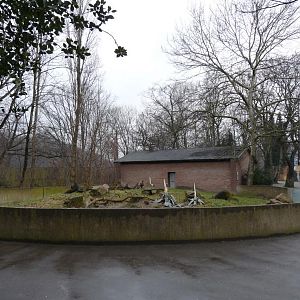 Former mandrill Exhibit