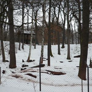 European Brown Bear Enclosure