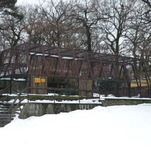European Lynx Enclosure