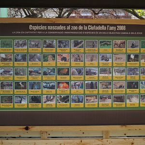 2008 Births infoboard