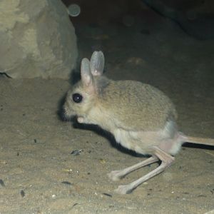 Chomutov Zoopark 2009