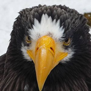 Chomutov Zoopark 2009