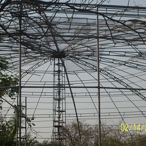 new enclosure for birds at hyderabad zoo