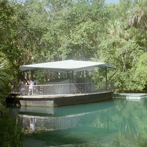 Viewing Observation Platform